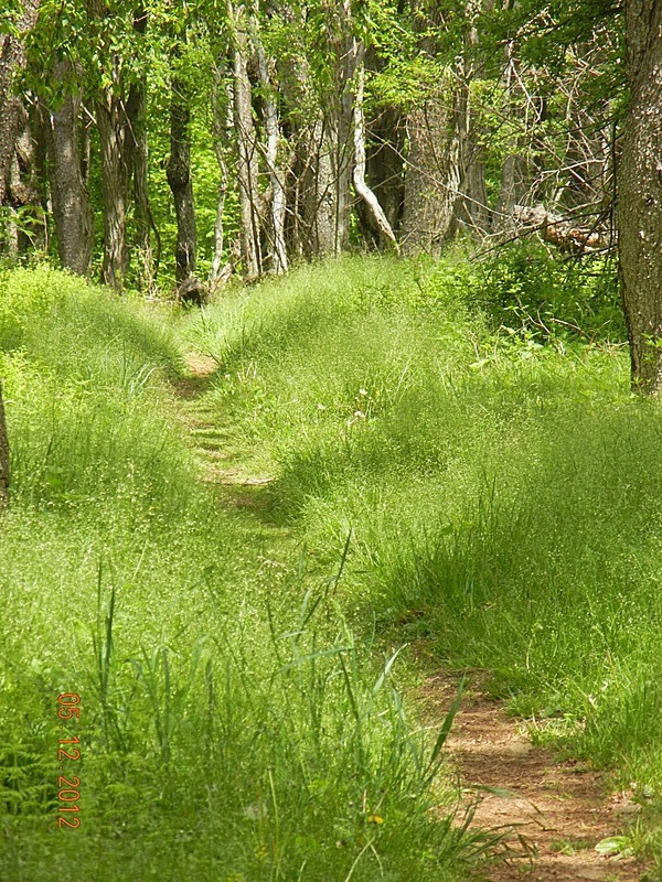 Shenandoah National Park