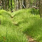 Shenandoah National Park