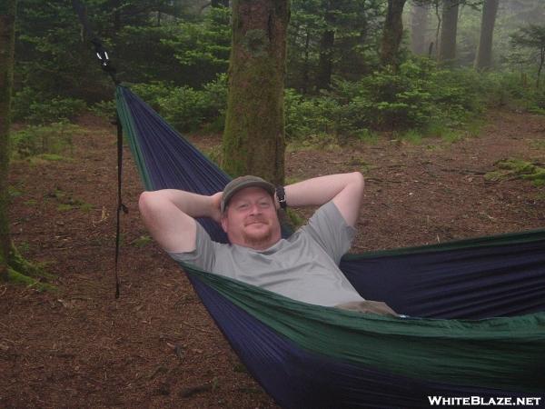 Redbear in his ENO hammock