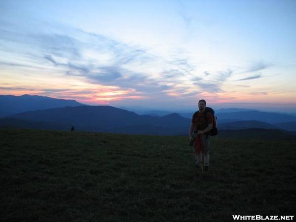 Redbear at Summit of Max Patch