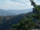 View From Mt. Cammerer