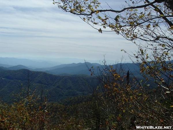 View coming down into Newfound Gap