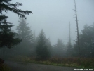 Fog at Clingman Dome by grrickar in Views in North Carolina & Tennessee