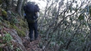 Heading Down The Trail by newspix1 in Section Hikers