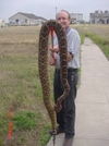 97 Lb Rattlesnake