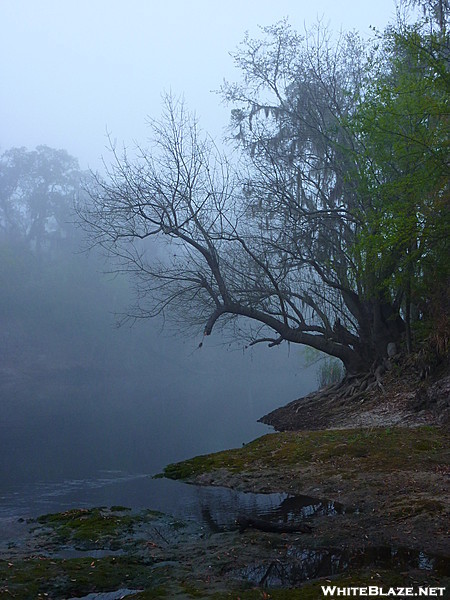 Suwanee River