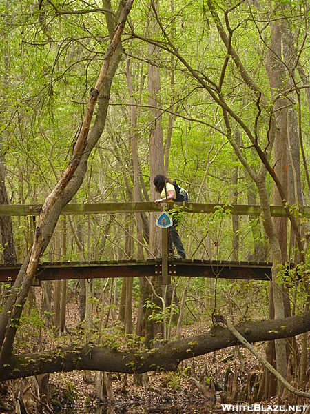 Florida Trail bridge