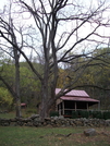 Vining Cabin by k.reynolds70 in Virginia & West Virginia Trail Towns