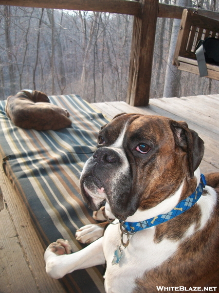 Hangin' On The Porch Of Myron Glaser Cabin