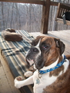 Hangin' On The Porch Of Myron Glaser Cabin by k.reynolds70 in Other