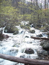 Mill Creek by k.reynolds70 in Trail & Blazes in Virginia & West Virginia