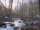 Mill Creek by k.reynolds70 in Trail & Blazes in Virginia & West Virginia