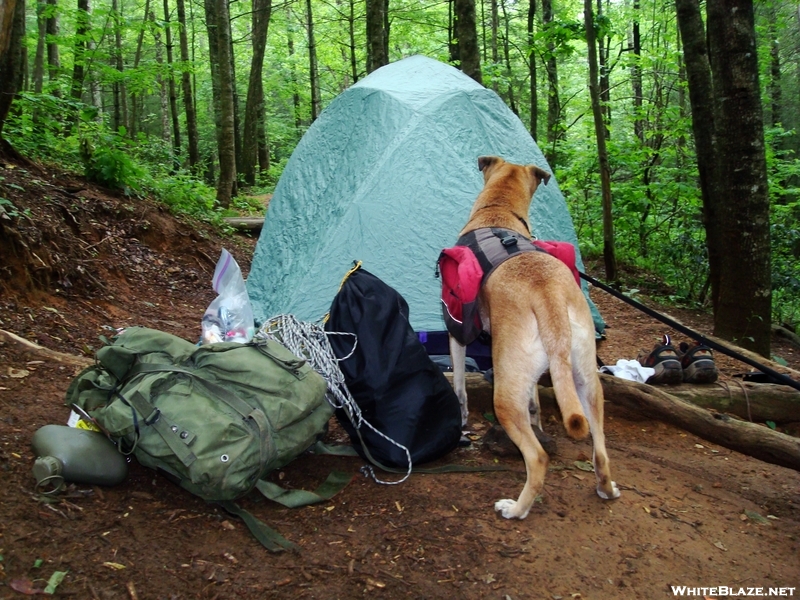 Tent And Gear