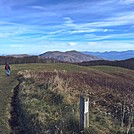 Max Patch November 2015 by lissersmith in Trail & Blazes in North Carolina & Tennessee