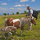 Mike at Grayson Highlands by Mushroom Mouse in Views in Virginia & West Virginia