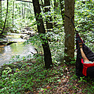 Hammock camping on AT along Brown Mtn. Creek by Mushroom Mouse in Hammock camping