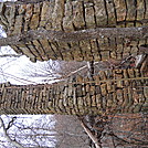 Ruins of Sarvers Cabin by Mushroom Mouse in Views in Virginia & West Virginia