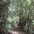 2011 Springer to Neels Gap by nicksmith75 in Section Hikers