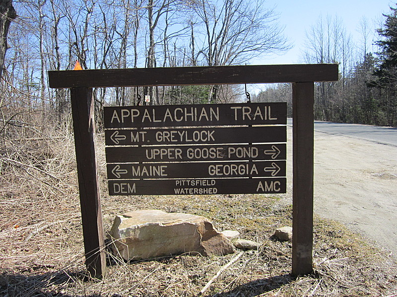 Pittsfield Road Trail Head