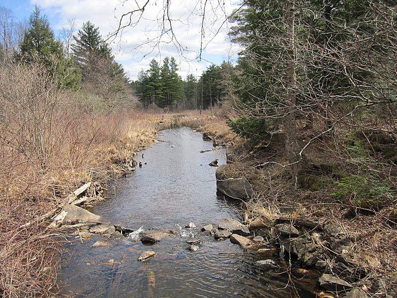 creek on trail