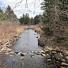 creek on trail by lemon b in Trail and Blazes in Massachusetts