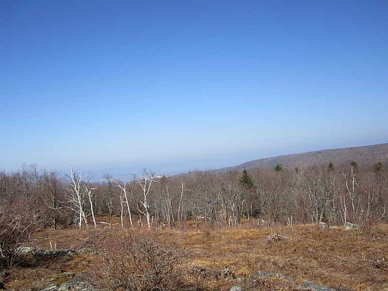 View from Warner Hill