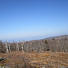 View from Warner Hill