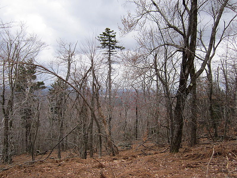 Goose Pond 4-1-12 from Becket Mt