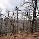 Goose Pond 4-1-12 from Becket Mt