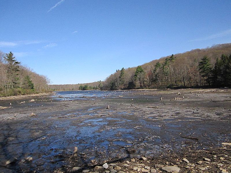 Beartown Pond morning ice 4-28