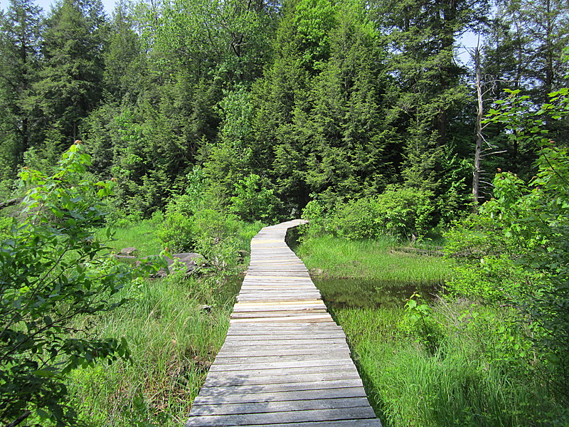 South of Upper Goose