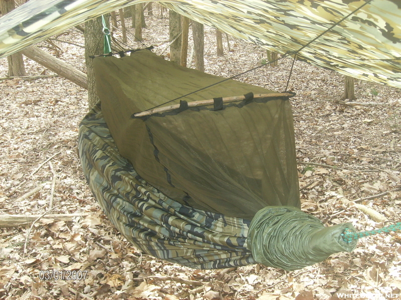 Hammock