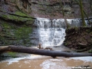 jackson falls