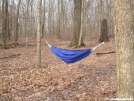 byer hammock by neo in Hammock camping