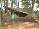 9x9 woodland camo tarp and hammock by neo in Hammock camping