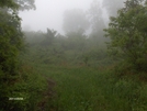 Fog Atop The Hill by StreamWalker in Day Hikers