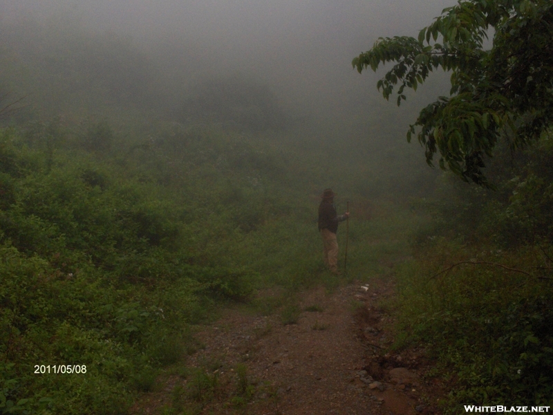 Ascending Up Into The Fog