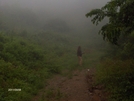 Ascending Up Into The Fog by StreamWalker in Day Hikers