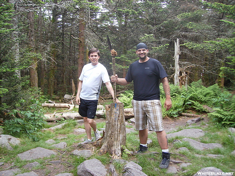 Mount Rogers summit