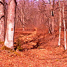 Qhehanna trail pictures by colden in Trail & Blazes in Maryland & Pennsylvania