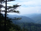 North Carolina Gsmnp by aaronthebugbuffet in Views in North Carolina & Tennessee