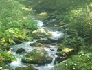 Enloe Creek