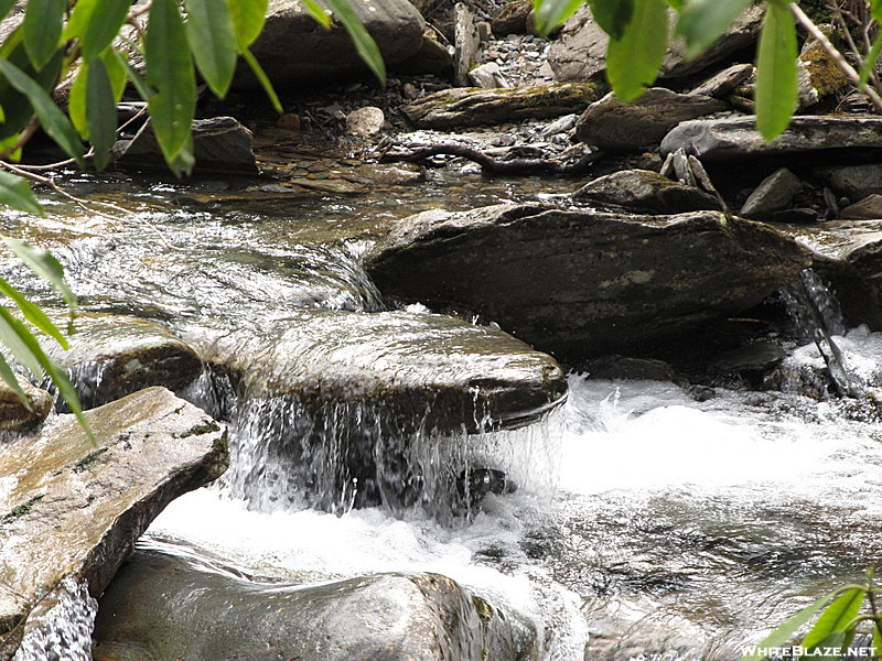 Alum BVluff Trail