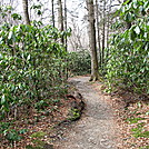 Alum BVluff Trail by P-Train in Day Hikers