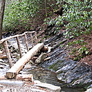 Alum Bluff Trail GSMNP by P-Train in Day Hikers