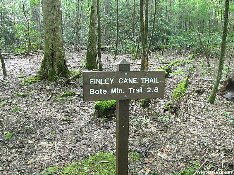 Finley Cane, Bote Mnt. and Lead Trails GSMNP