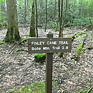 Finley Cane, Bote Mnt. and Lead Trails GSMNP by P-Train in Day Hikers