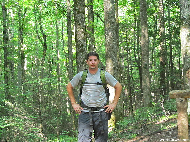 Finley Cane, Bote Mnt. and Lead Trails GSMNP