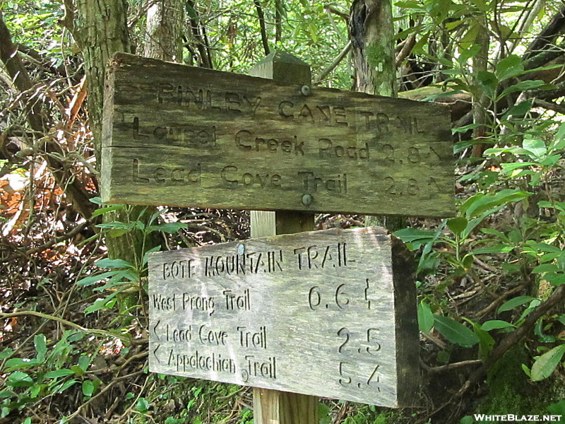 Finley Cane, Bote Mnt. and Lead Trails GSMNP