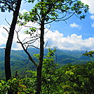 Finley Cane, Bote Mnt. and Lead Trails GSMNP by P-Train in Day Hikers